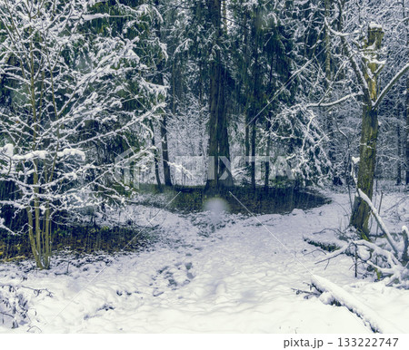 Quiet icy scene with wildlife, Frozen water reflecting dull winter colors with subtle animal signs Quiet icy scene with wildlife, Frozen water reflecting dull winter colors with subtle animal signs 133222747