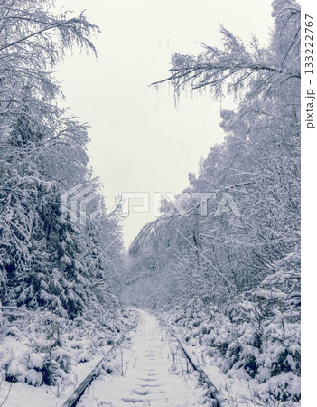 Serene icy track winding through snowcovered woodland landscape happily Serene icy track winding through snowcovered woodland landscape happily 133222767