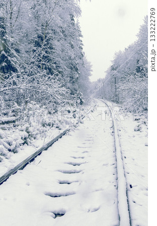 Snowdusted trail extends into frosty forest, Silent tracks fade into shimmering icy woodland depths Snowdusted trail extends into frosty forest, Silent tracks fade into shimmering icy woodland depths 133222769