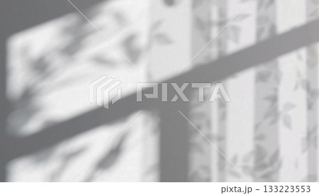 Abstract shadow of foliage and curtain background Abstract shadow of foliage and curtain background 133223553