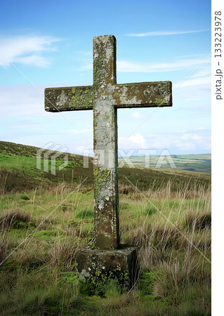 Large, mossy cross stands in a field 133223978