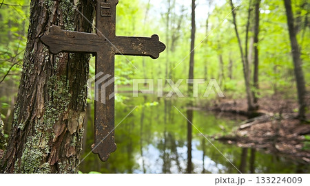 Cross is hanging from a tree in a forest Cross is hanging from a tree in a forest 133224009