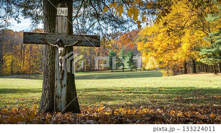 Cross is standing in a field of grass with leaves on the ground Cross is standing in a field of grass with leaves on the ground 133224011
