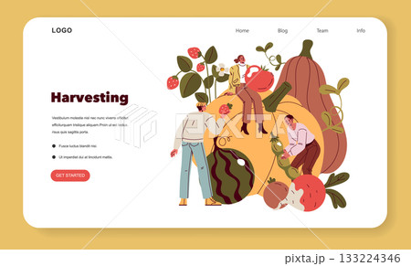 Vector illustration of people engaging in fruit and vegetable harvesting. Large produce like pumpkins and tomatoes is showcased alongside joyful individuals collecting fresh items. 133224346