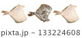 Frozen flatfish pieces isolated on white background. 133224608