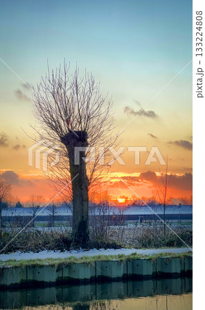 A Serene and Beautiful Sunset Over a Winter Landscape Featuring a Barren Tree Silhouette A Serene and Beautiful Sunset Over a Winter Landscape Featuring a Barren Tree Silhouette 133224808