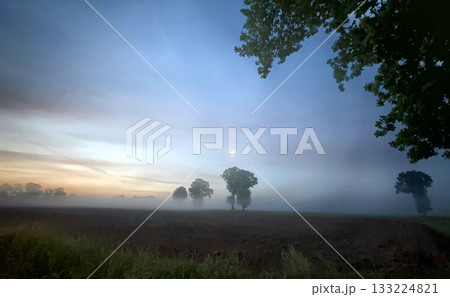 A Mist Shrouded Landscape at Dawn Where a Glimmering Moon Hangs Above the Horizon A Mist Shrouded Landscape at Dawn Where a Glimmering Moon Hangs Above the Horizon 133224821