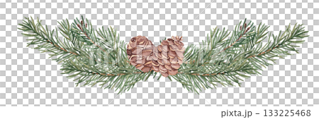 Watercolor fir branches with pine cones. Hand drawn watercolor illustration of fir branches with pine cones. Perfect for Christmas design, winter decoration, invitations, cards, and natural 133225468