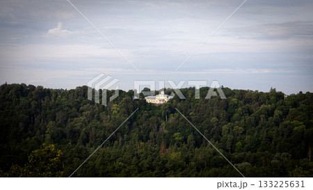 Historic building surrounded by dense green forest under cloudy sky 133225631