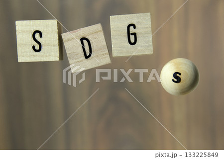 積み木ブロックでSDGs 積み木ブロックでSDGs 133225849