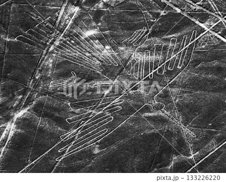 南米ペルー・ナスカの地上絵 コンドル 南米ペルー・ナスカの地上絵 コンドル 133226220