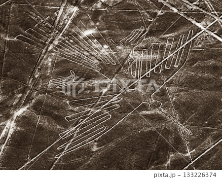 南米ペルー・ナスカの地上絵　コンドル 133226374