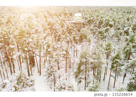 Old observatory tower in the Glen park, in fir forest. Tallinn, Estonia. 133226654