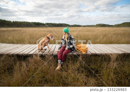 Serious woman owner training hunting dog with commands on eco boardwalk over autumn peat bog 133226983