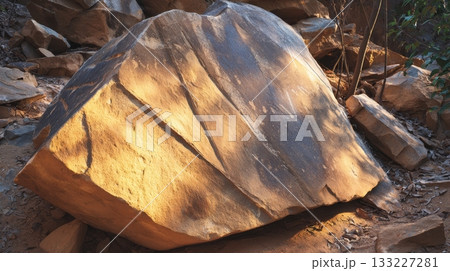 Rough Boulder With Faded Ancient Markings Located in a Serene Natural Environment 133227281
