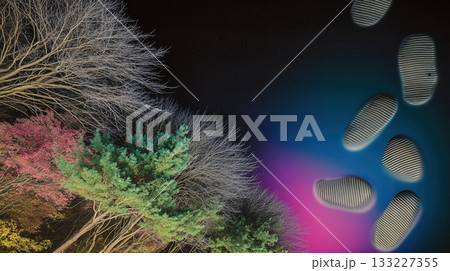 Footprints Lead Through Soft Earth Toward Vibrant Forest Scene at Dusk Footprints Lead Through Soft Earth Toward Vibrant Forest Scene at Dusk 133227355