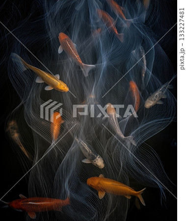 Colorful Koi Fish Swimming Gracefully in a Flowing Light Ribbon Underwater in a Serene Setting 133227481