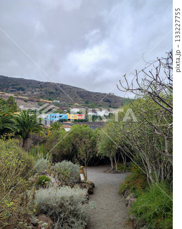 A beautiful, scenic landscape featuring colorful houses surrounded by lush nature in all its glory A beautiful, scenic landscape featuring colorful houses surrounded by lush nature in all its glory 133227755