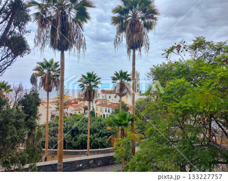 A beautiful and scenic coastal view featuring palm trees against an overcast sky on the horizon A beautiful and scenic coastal view featuring palm trees against an overcast sky on the horizon 133227757