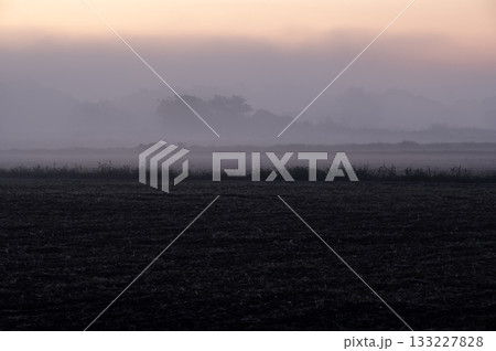 朝靄に沈む畑と淡い空 133227828