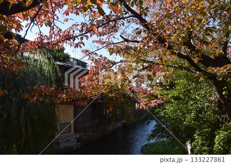 京都・祇園白川 133227861