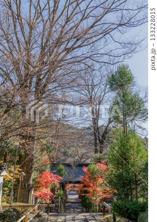 秋の木曽福島興禅寺境内の景色 秋の木曽福島興禅寺境内の景色 133228015