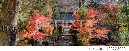 秋の木曽福島興禅寺境内の景色 133228033