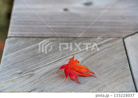 秋の木曽福島興禅寺境内の景色 133228037