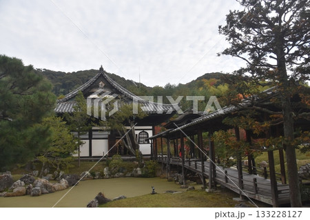 京都・高台寺 京都・高台寺 133228127