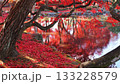 紅葉と池 133228579