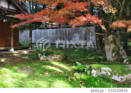 紅葉と苔の里 4 133228616