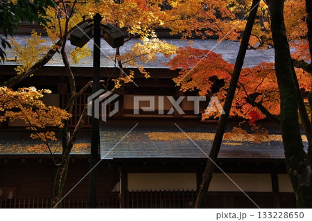 紅葉と日本家屋 1 紅葉と日本家屋 1 133228650