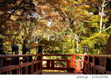 秋の那谷寺 5 秋の那谷寺 5 133228700