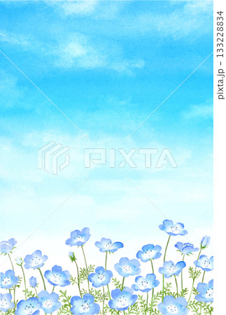 青空にネモフィラ畑の水彩画　縦長　はがきサイズ比率 133228834