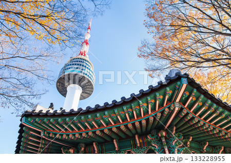 秋のソウル　南山タワーと八角亭 133228955