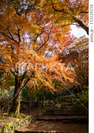 兵庫県丹波市にある高源寺の紅葉 133229158