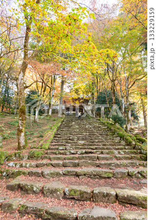 兵庫県丹波市にある高源寺の紅葉 133229159