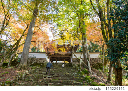 兵庫県丹波市にある高源寺の紅葉 133229161