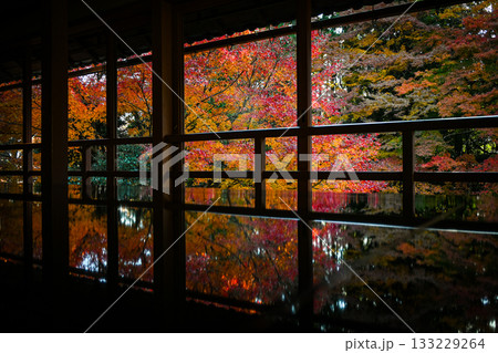 滋賀・大津市 元里坊 旧竹林院庭園の紅葉 滋賀・大津市 元里坊 旧竹林院庭園の紅葉 133229264