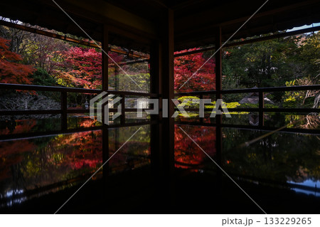 滋賀・大津市 元里坊 旧竹林院庭園の紅葉 133229265