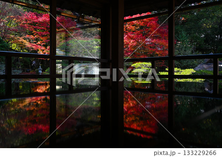 滋賀・大津市 元里坊 旧竹林院庭園の紅葉 滋賀・大津市 元里坊 旧竹林院庭園の紅葉 133229266