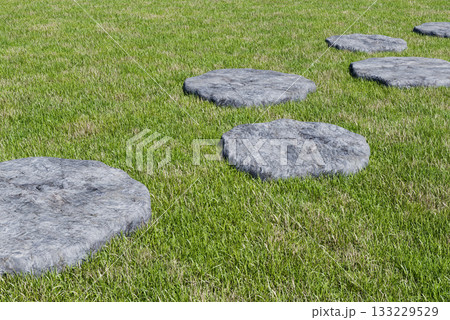 公園の芝と渡石のCG画像 133229529