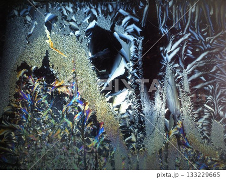 霜の花、氷の結晶模様 133229665