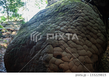 Close up of the bizarre Naga stone in Naga Cave, located in the Bueng Kan province of Northeastern Thailand. This strange and amazing beauty of the large stone shaped like a giant snake. 133229815