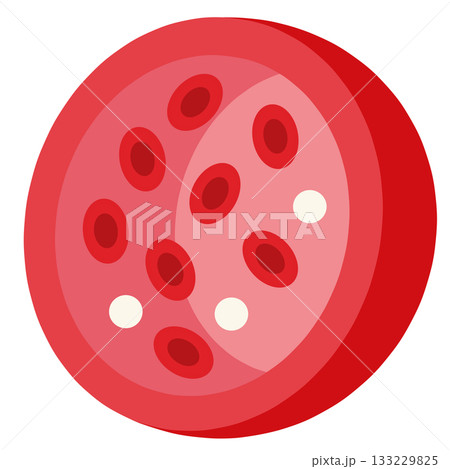 血管の断面イメージ「AI生成画像」 血管の断面イメージ「AI生成画像」 133229825