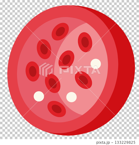 血管の断面イメージ「AI生成画像」 血管の断面イメージ「AI生成画像」 133229825