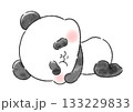かわいい ごろんとするパンダ 133229833