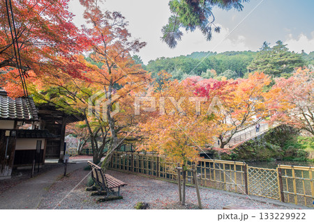 兵庫県丹波市にある円通寺の紅葉 兵庫県丹波市にある円通寺の紅葉 133229922