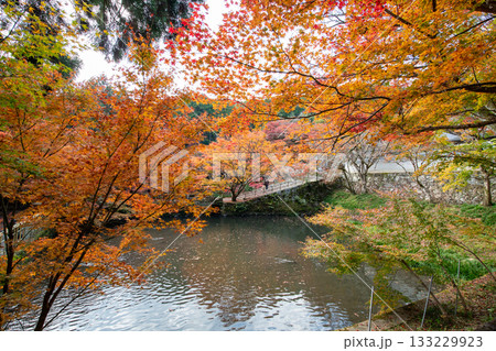 兵庫県丹波市にある円通寺の紅葉 兵庫県丹波市にある円通寺の紅葉 133229923