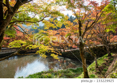 兵庫県丹波市にある円通寺の紅葉 兵庫県丹波市にある円通寺の紅葉 133229925
